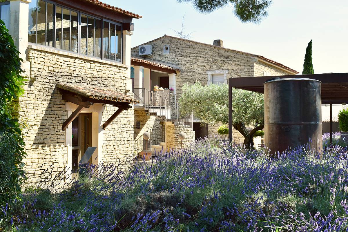 Musée de la Lavande Luberon : Visites et activités pour familles et groupes pour découvrir la vraie lavande de Provence