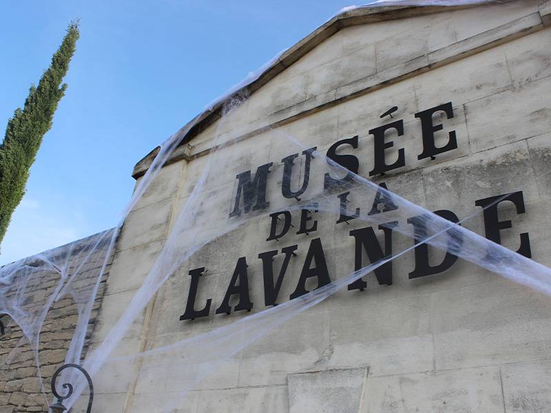 Entrée du musée de la lavande avec décorations toiles d'araignées d'halloween